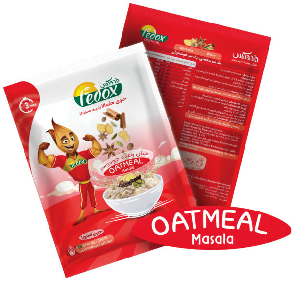 OATMEAL Masala Flavor